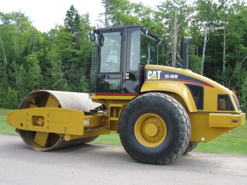 Cat_Comp_0624_500.2.jpg
