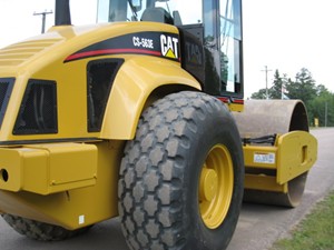 Cat_Comp_CS563E_300_4.jpg